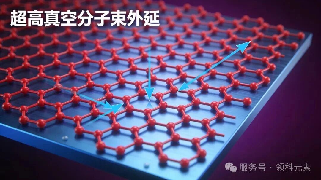 1775120960220460.jpg 3.jpg